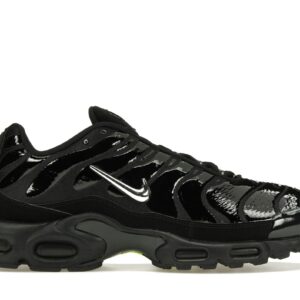 Air Max Plus Black Chrome FJ2591-001 Sneakers